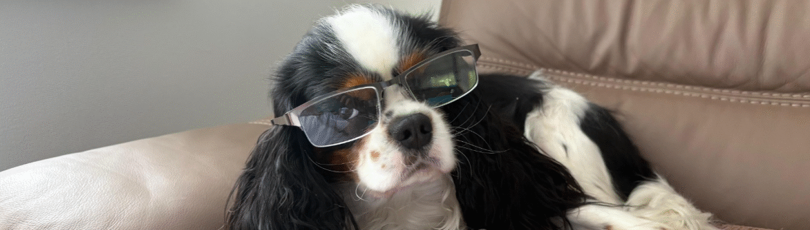 Penzer Opticians